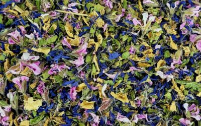 Tisane Fleurs & Verveine