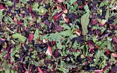 Tisane Hibiscus aux 2 Menthes