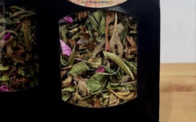 Tisane Bourbon Yangue