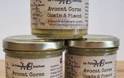 Avocat Corse, cumin & Piment