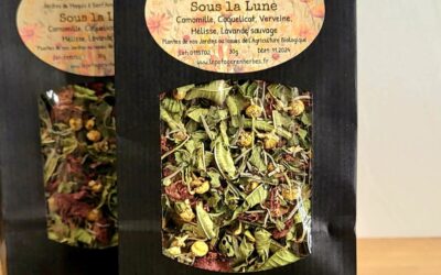 Tisane Sous la lune