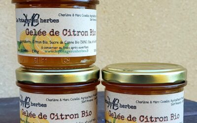 Gelée de Citron Corse Bio