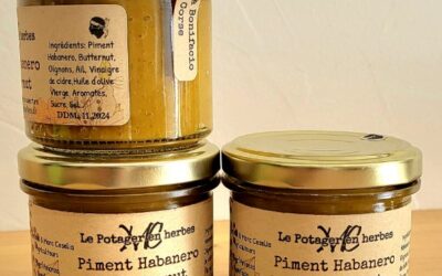 Chutney Piment Habanero & Butternut